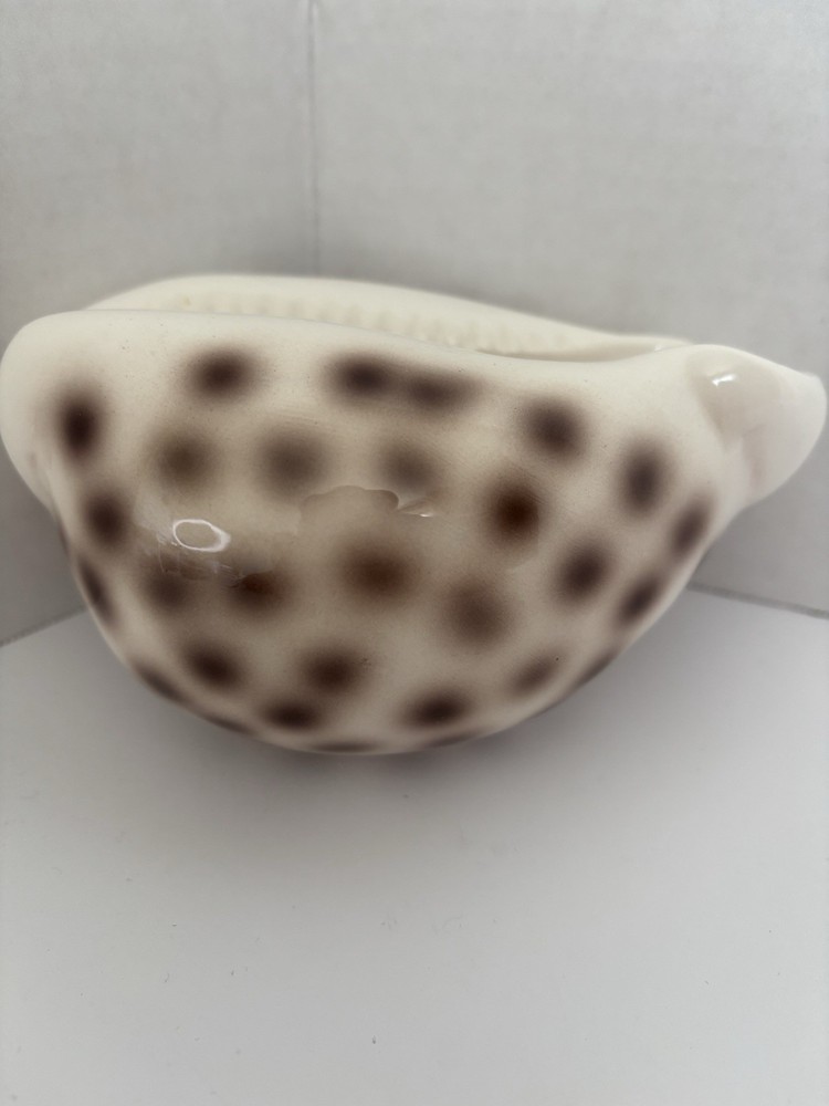 Ceramic Shell-Shaped Planter White Brown Polka Dot Glossy Pottery Decor