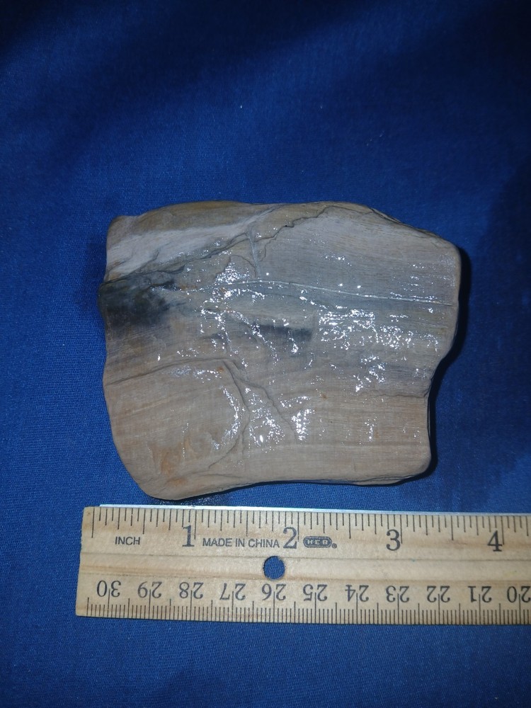 8 oz Texas Petrified Wood