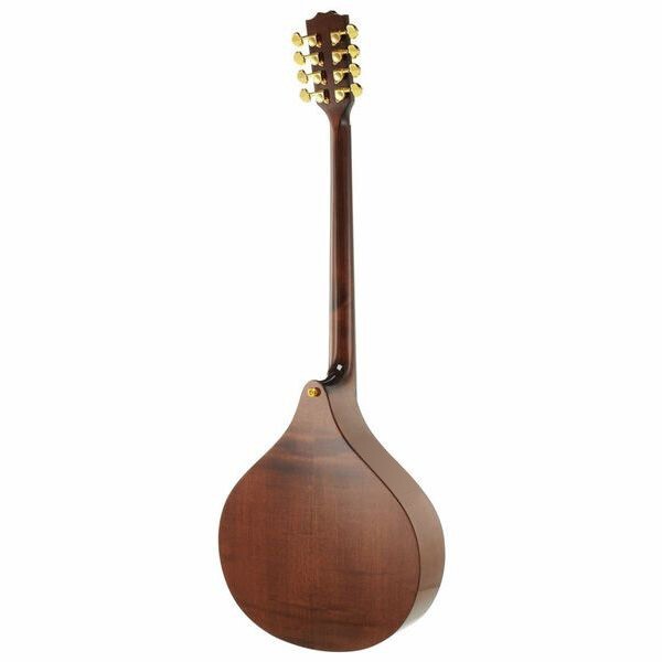 Concert Irish Bouzouki + Hard Case