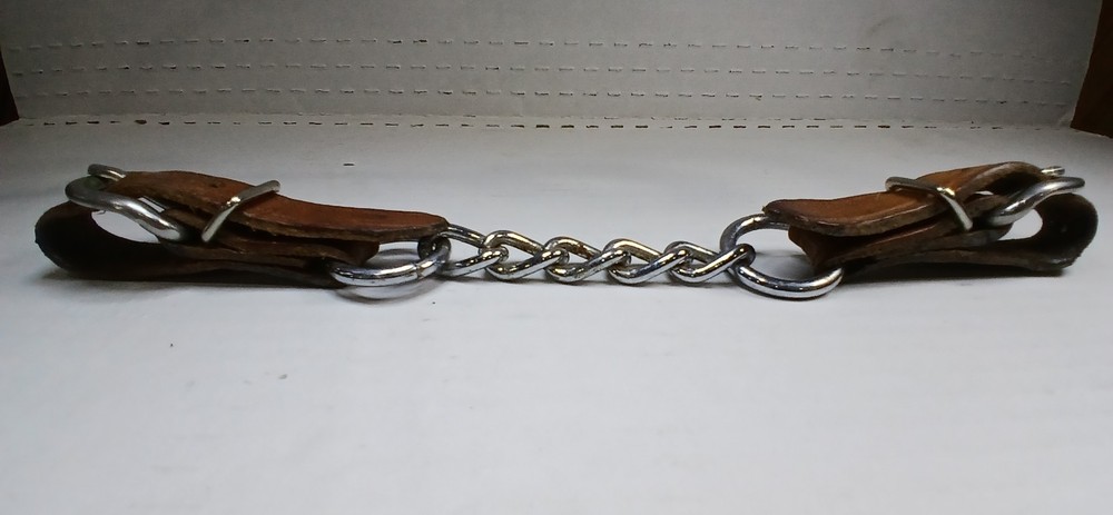 Bit Master BM 5” Shank Bit w/ Leather Curb Strap – Polished