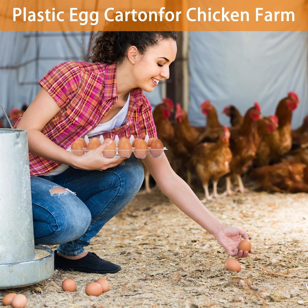 GRRONZEE 120 Pack Egg Cartons Cheap Bulk 12 Count Medium, Clear