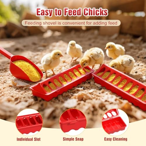 7-in-1 Chicken Brooder Box for Chick Starter Kit, Includes Red + Wood Color