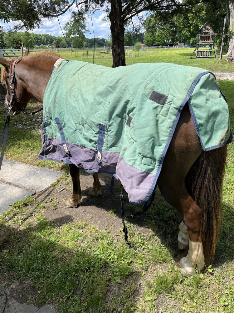 Schneiders Medium Weight 72” Blanket