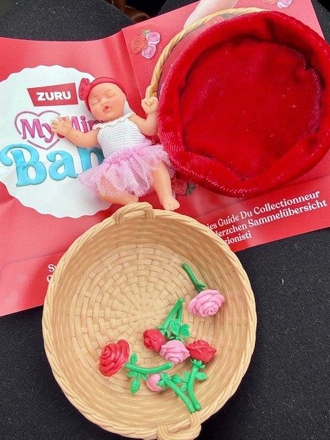 MY MINI BABY VALENTINES 2026  (variations)