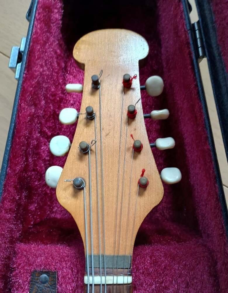 Wooden mandolin 8 strings with hard case