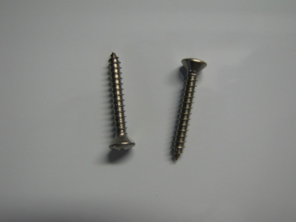 STRAP BUTTOM STAINLESS STEEL REPLACEMENT SCREWS (2)