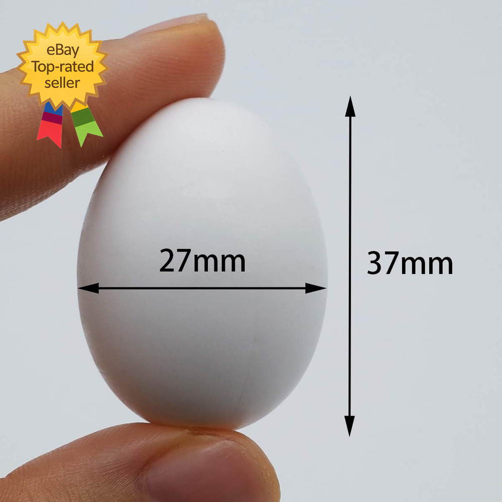 5 Pcs Solid Parrot Plastic Eggs Hatching Eggs Mini Macaw Amazon Cockatoo African
