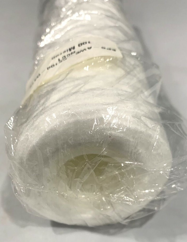 EPS-AWE-PE100-OA1E NCC1 100 MIcron Filter