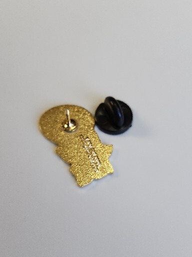 Shriner Lapel Pin Anezeh 2008
