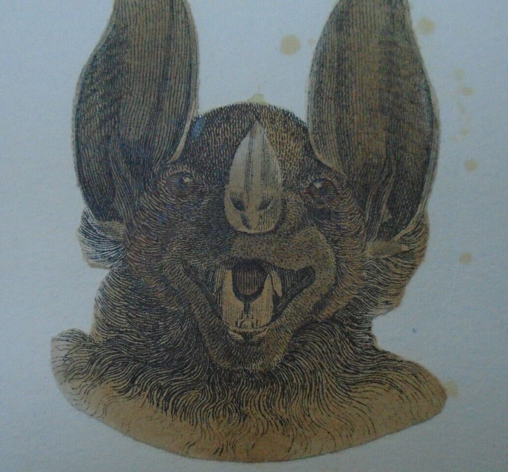 VICTORIAN SCRAP ON CARD   BAT