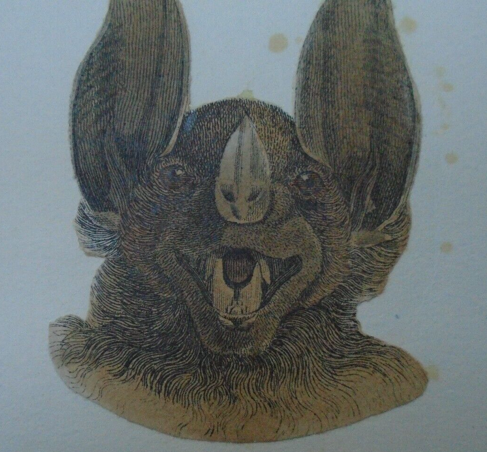 VICTORIAN SCRAP ON CARD BAT