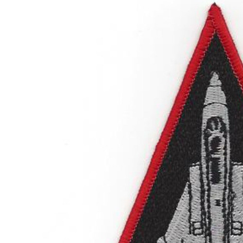 VF-301 Triangle Patch F-14 Infernos