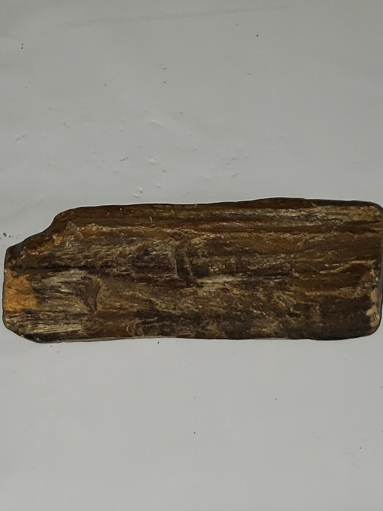 Petrified wood 4.5 inches long