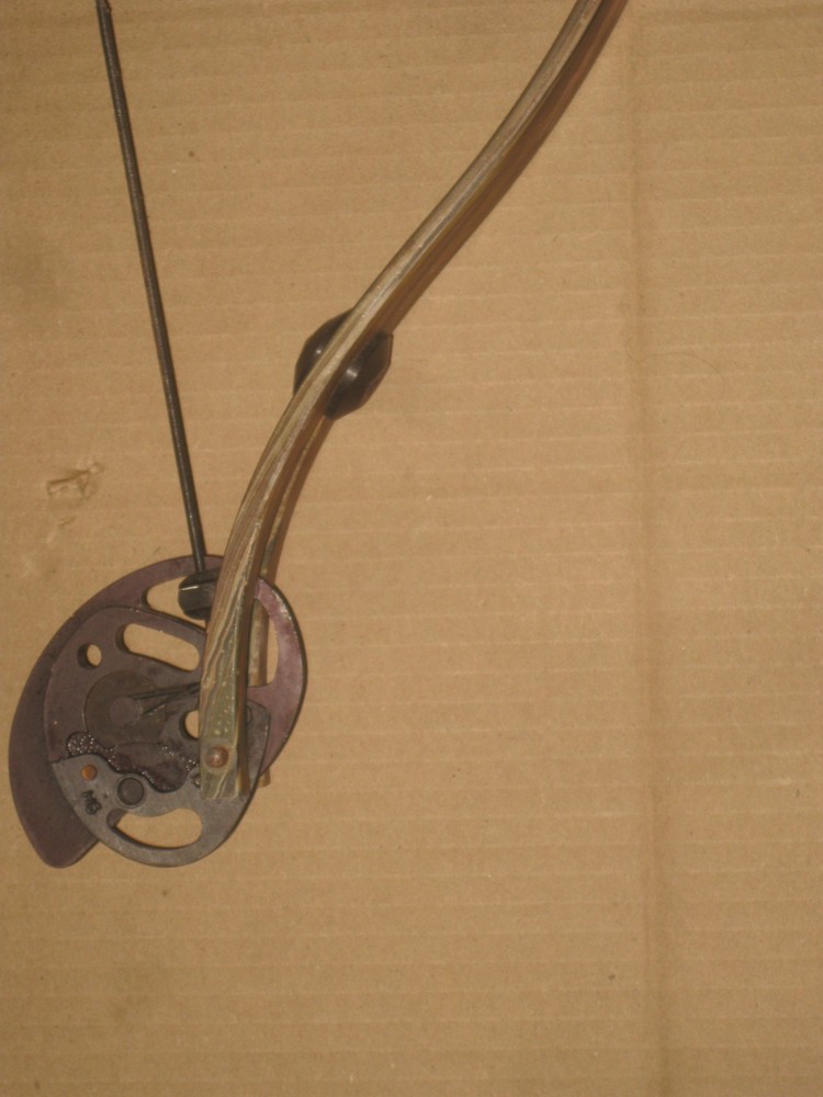 Golden Eagle Evolution Compound Bow