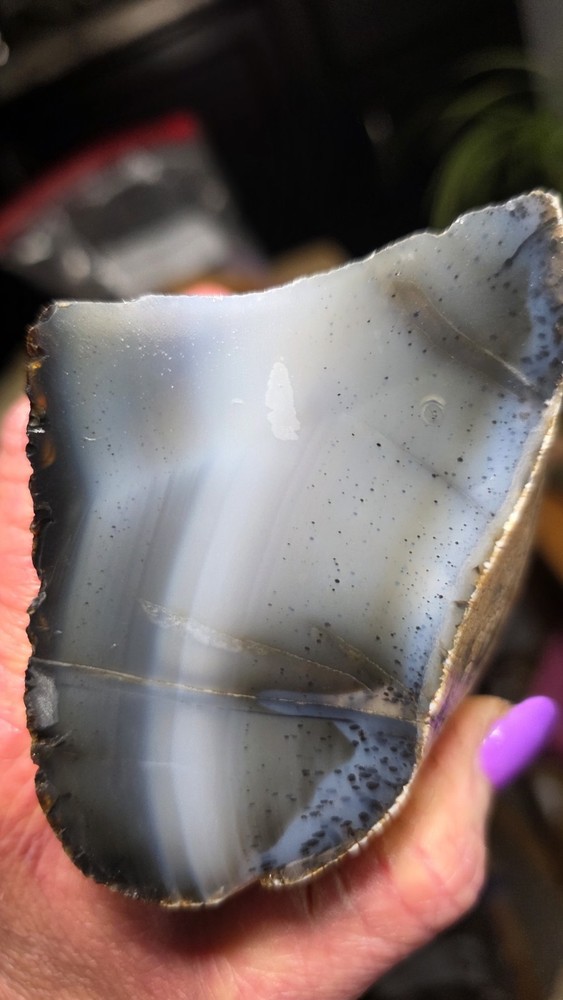 Montana Agate Rough 2lbs. 11oz.