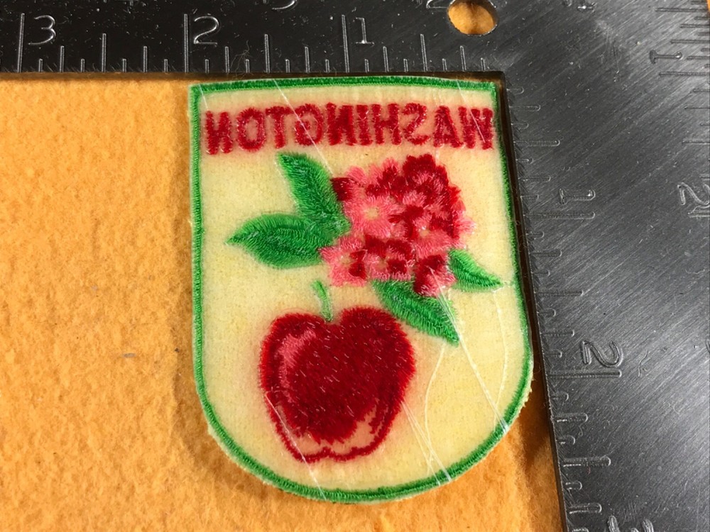 S2-25 WASHINGTON PATCH