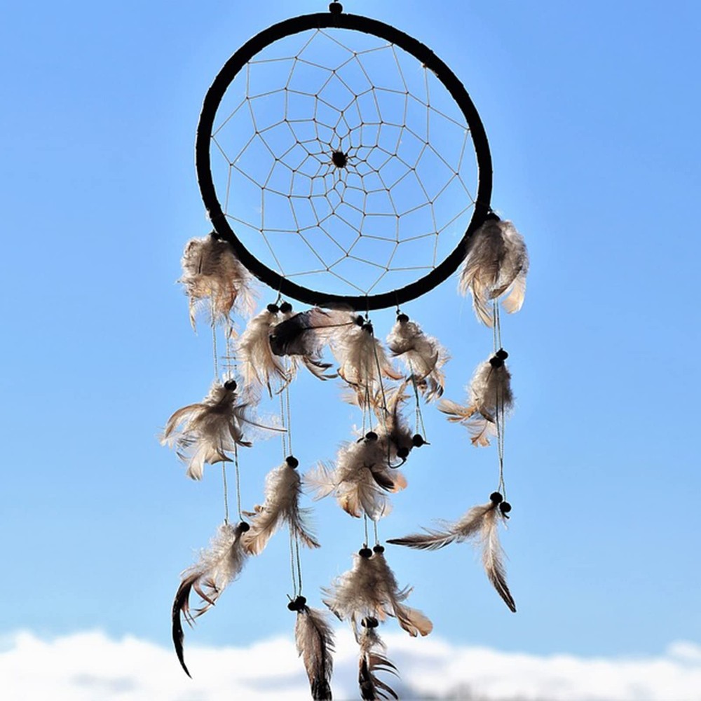SendyFeather 200pcs 10 Style Natural Feathers Assorted Mixed 200PCS,