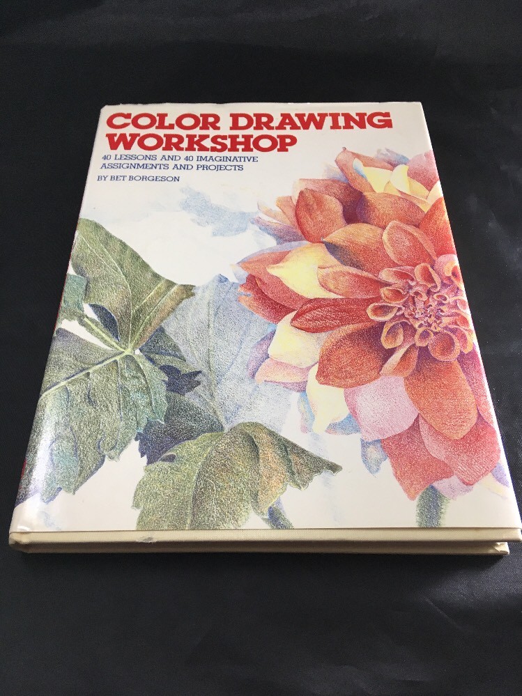 Color Drawing Workshop Project Book by Bet Borgenson Drawing Instruction Book