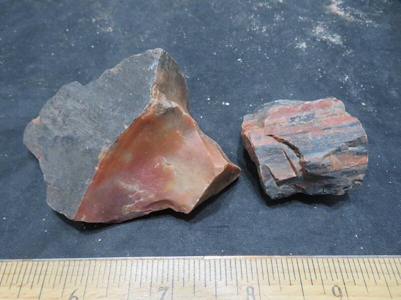 Petrified Wood 4 lbs & 11 ozs 15 Pieces