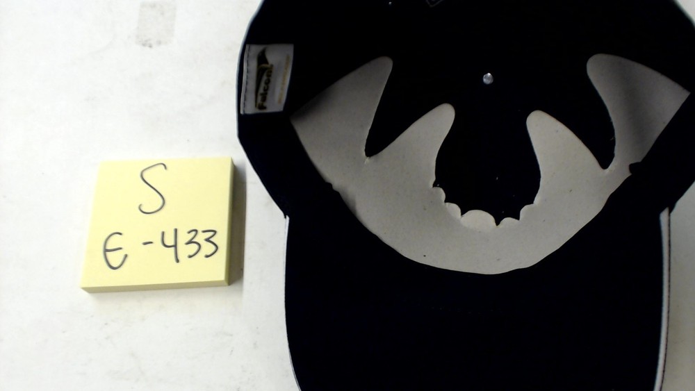 Ford F-150 Adjustable Hat