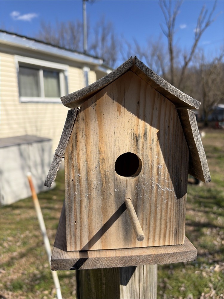 Handmade Bird House