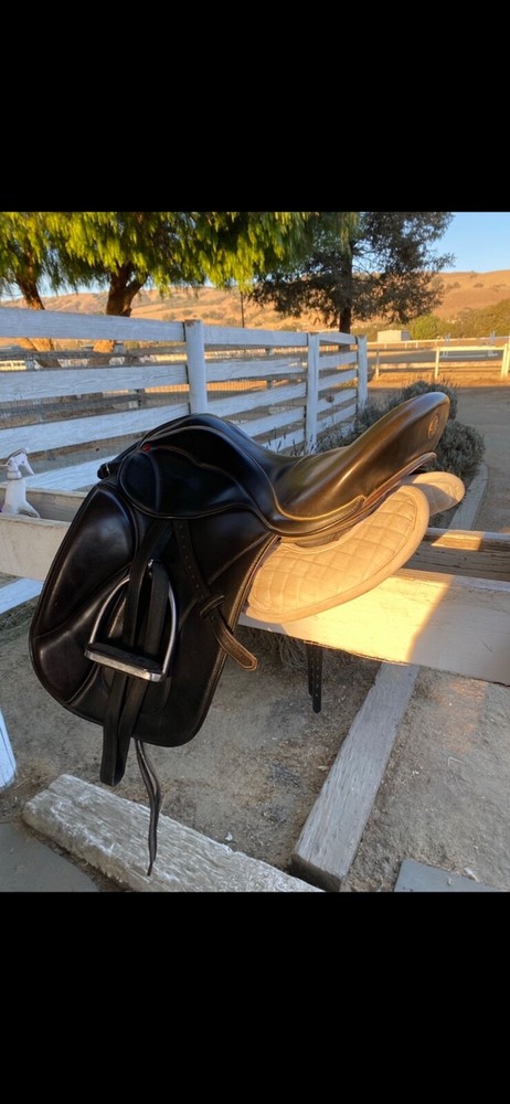 Reactor panel dressage saddle-Size 18 with adjustable points. Good condition! 