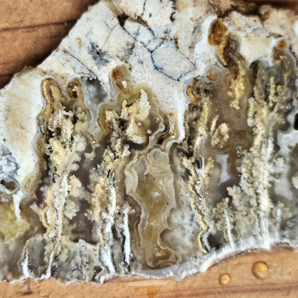 Graveyard Point Plume Agate Slab Oregon 39 grams