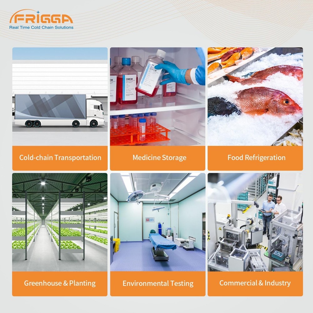 Frigga M2E 2Pack Reusable Temperature Data Logger with External Probe 2pack