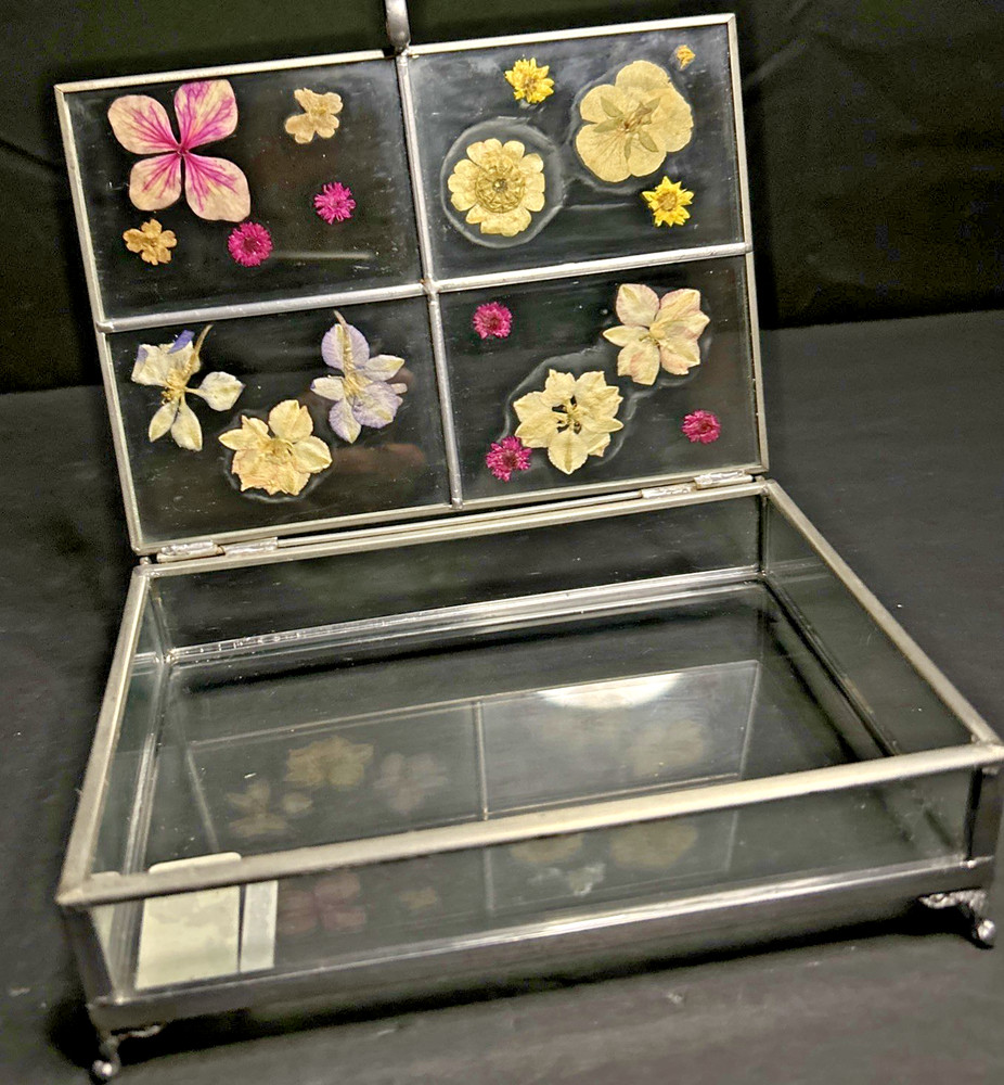 Carr Atrium Photo Box - Garden