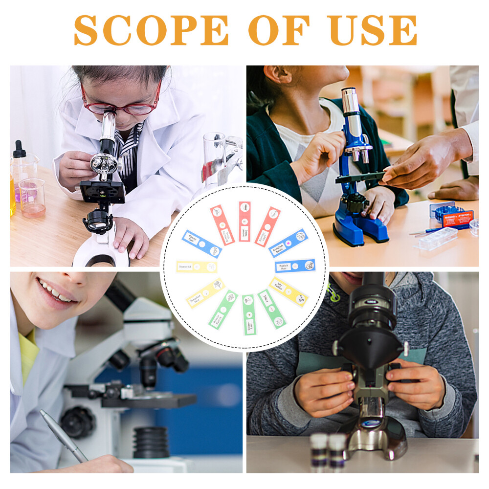36 Pcs Microscope Slide for Science Education Biology Child