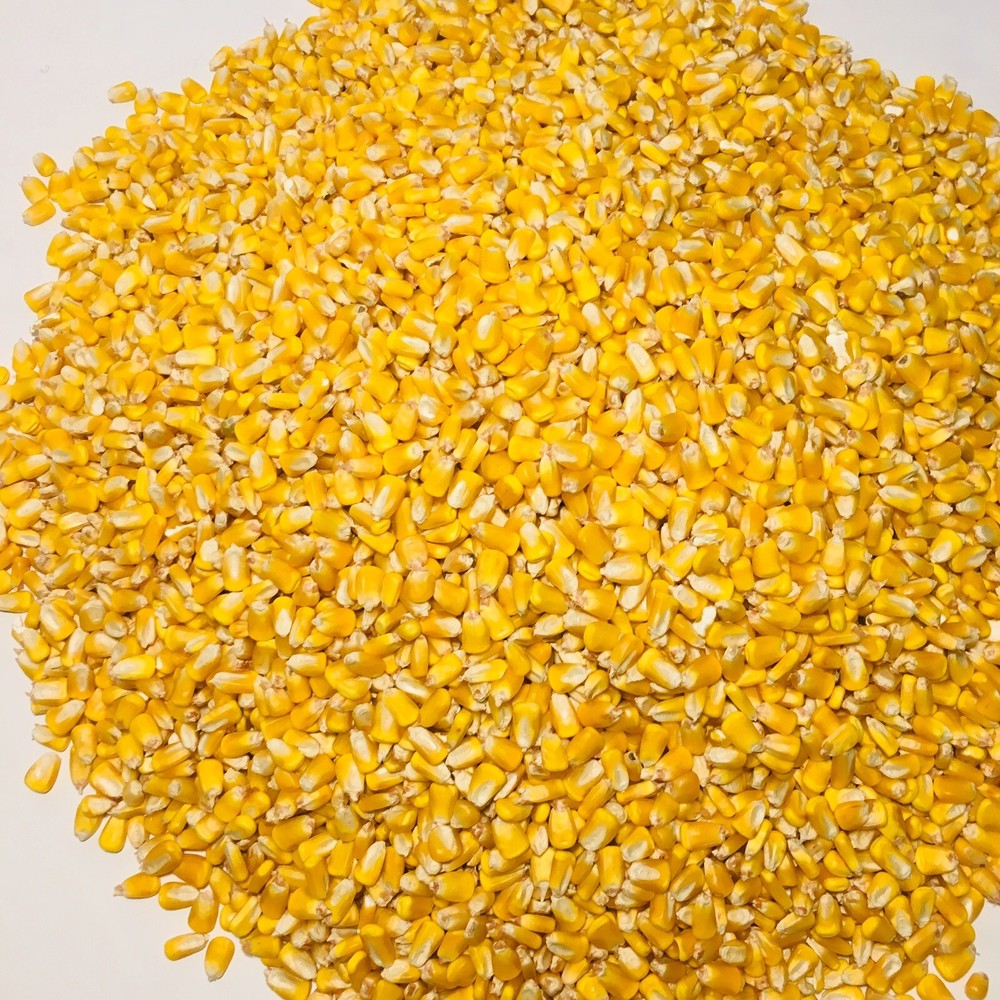 Whole Kernel Corn Animal Wildlife Feed Arts & Crafts 10 Lbs