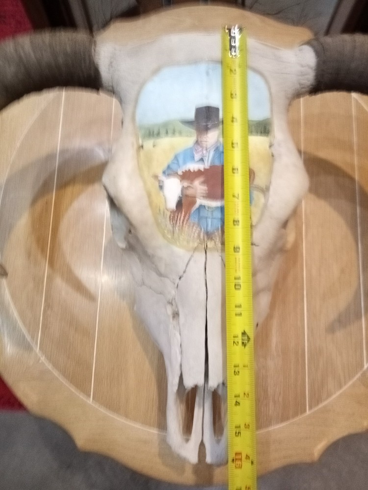 Charles E. Palmer Signed and Painted Bison Skull