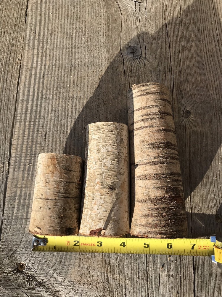 Birch Log Triptych, White Birch Logs, 3-7 Inches Long