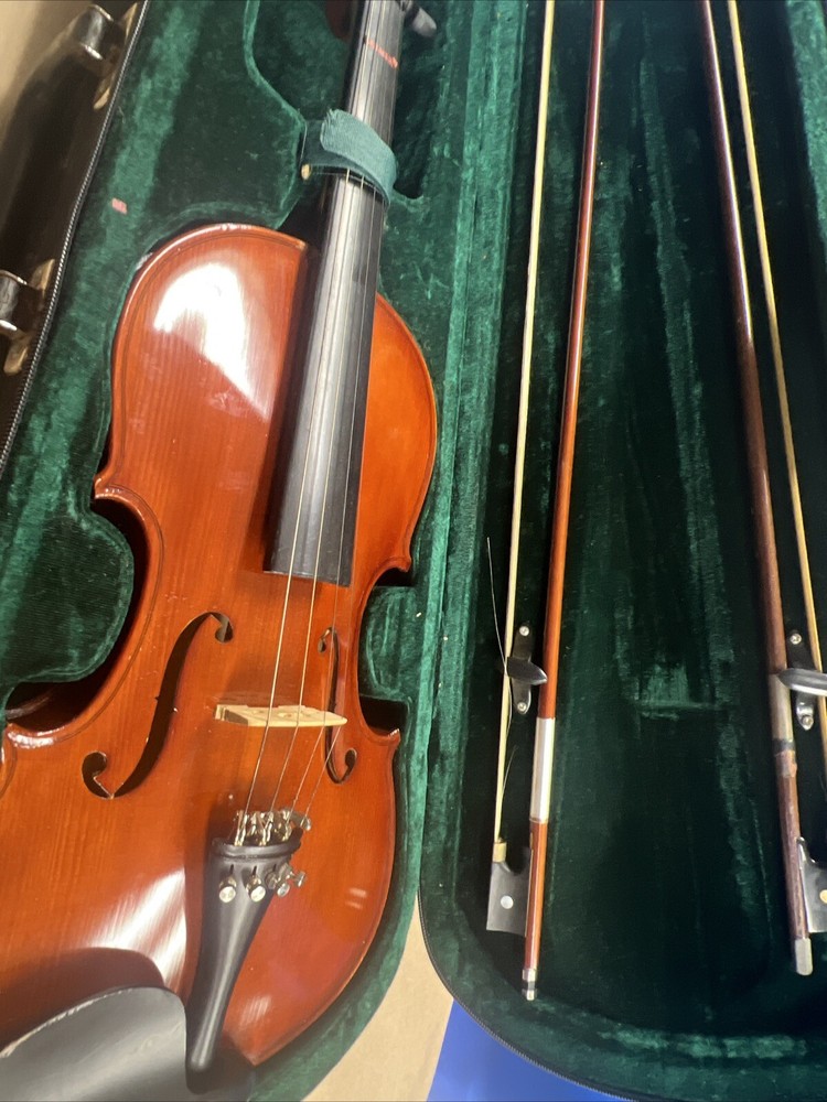 Parrot | Art No. 19 | Violin With Case