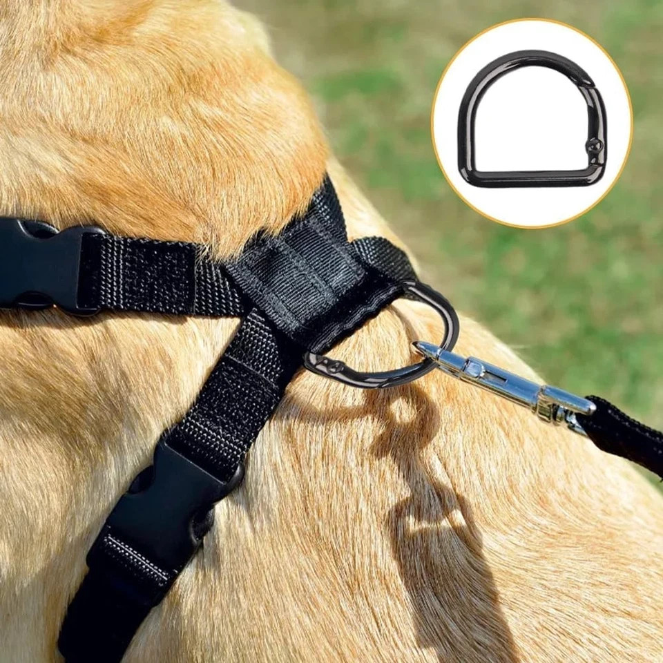 Small Carabiner Clips 10Pcs Spring D Rings Snap Hook black