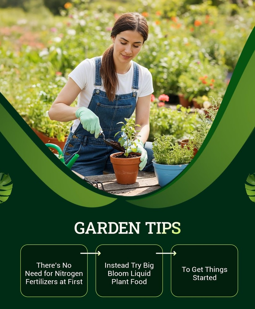 Ocean Forest Potting Soil for Container Gardens - Light, Aerated Texture with...