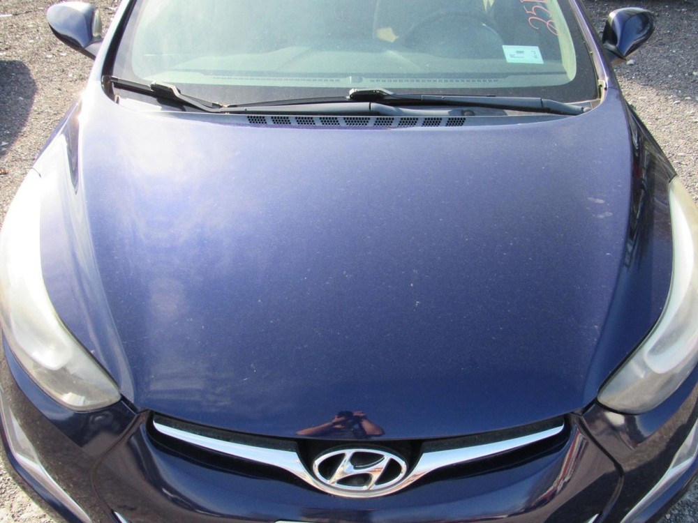 ELANTRA 2014 Glove Box 1041677