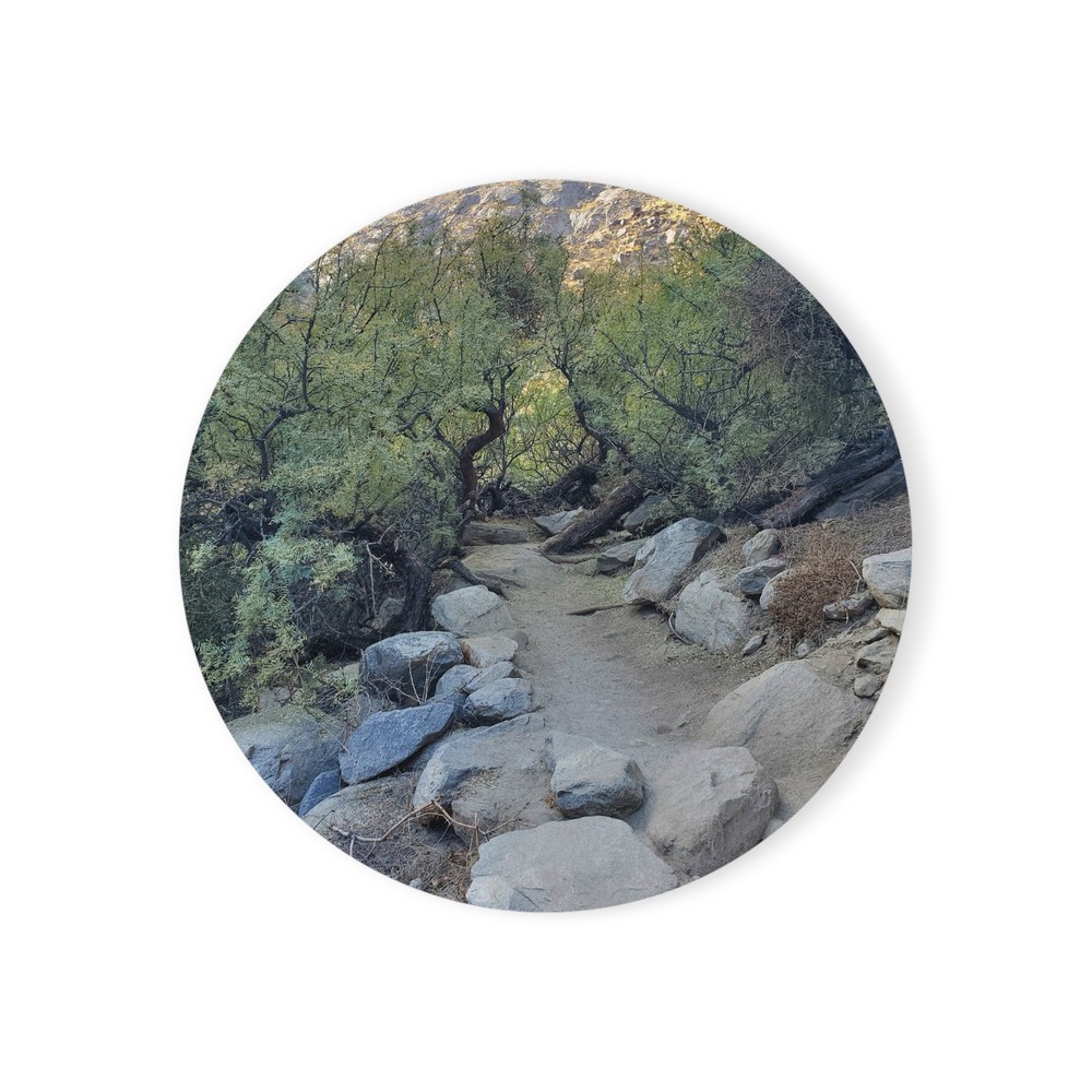Scenic Mountain Trail Cork Back Coaster