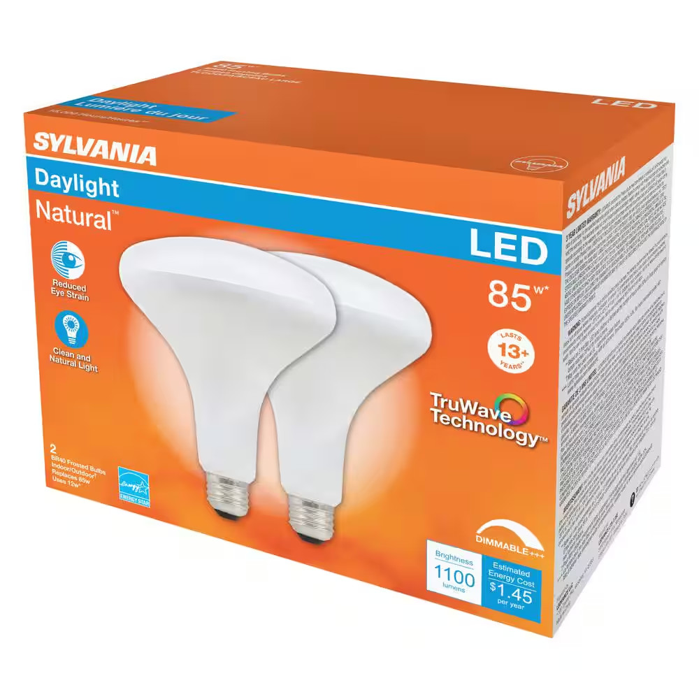 85-Watt Equivalent BR40 Dimmable LED Light Bulb in 5000K (2-Pack)