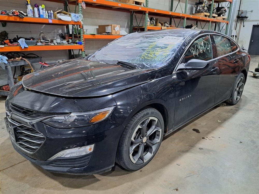 2019 Malibu Jack Sku#4275468