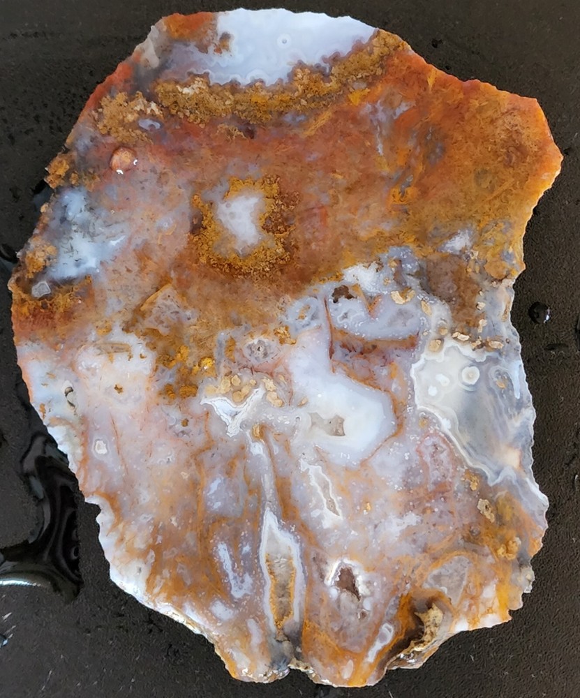 Moss agate Maury Mountain