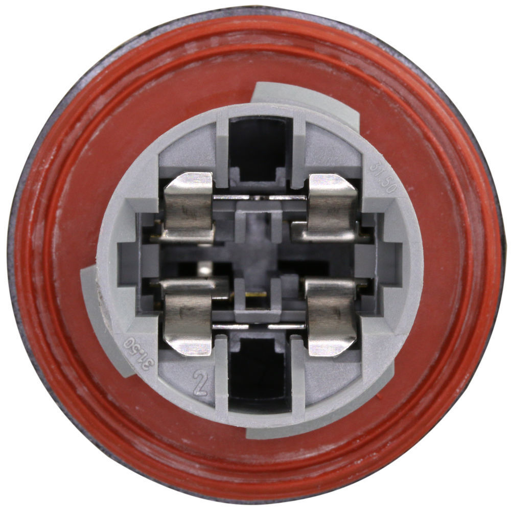 Turn Signal Light Socket WVE 1P3479