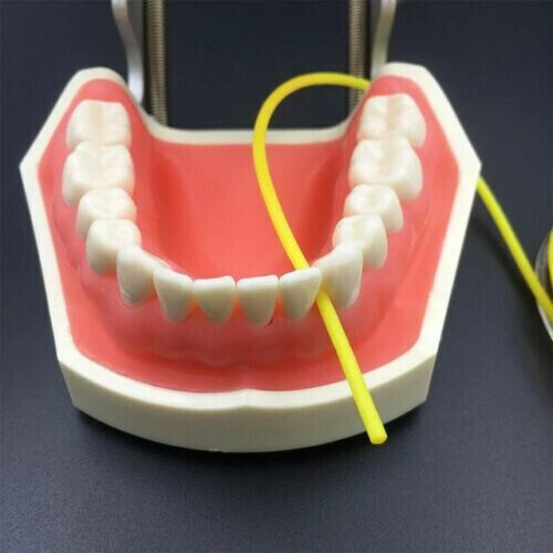 10Roll Dental Rubber Dam Stabilizing Cord Medium Wedge Clamp Elastic Sheets 2.1m