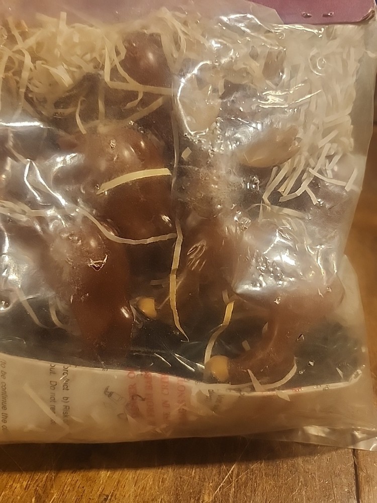 2002 Primal Lite Fun String 10 Lights Set 12 Foot String moose/deer NOS