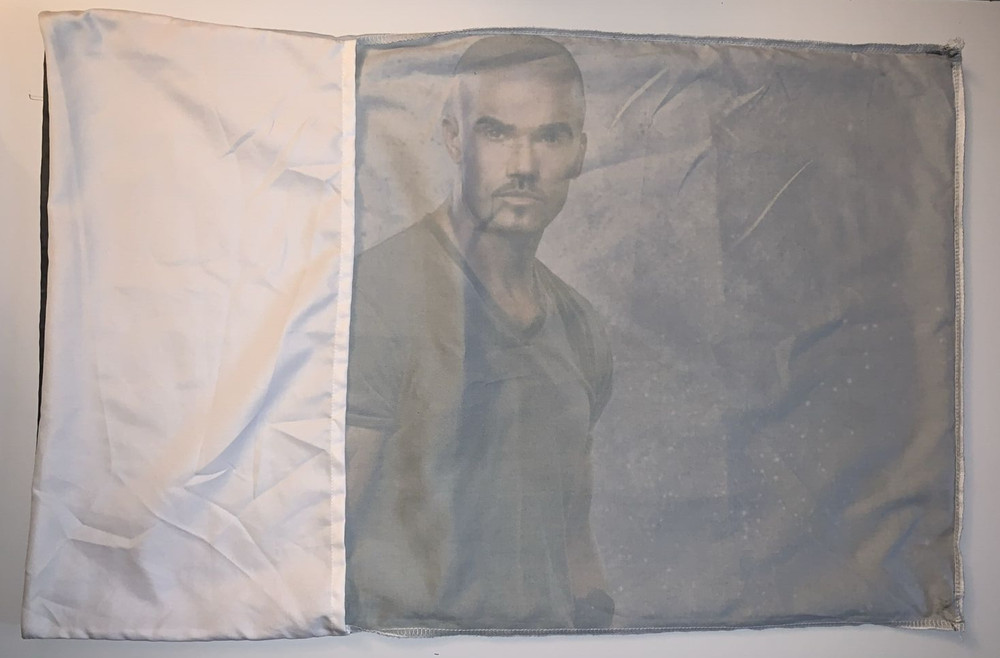 Criminal Minds Shemar Moore 30" x 20" bed pillowcase, no tags