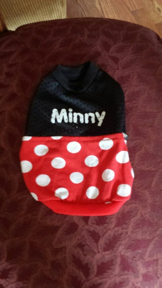 Adorable Minny dress