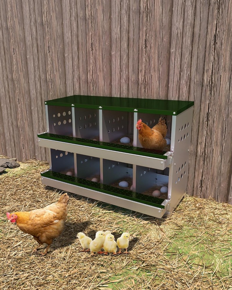 Chicken Nesting Box 8 Compartment 2-Tier for Laying Eggs Collection Protect