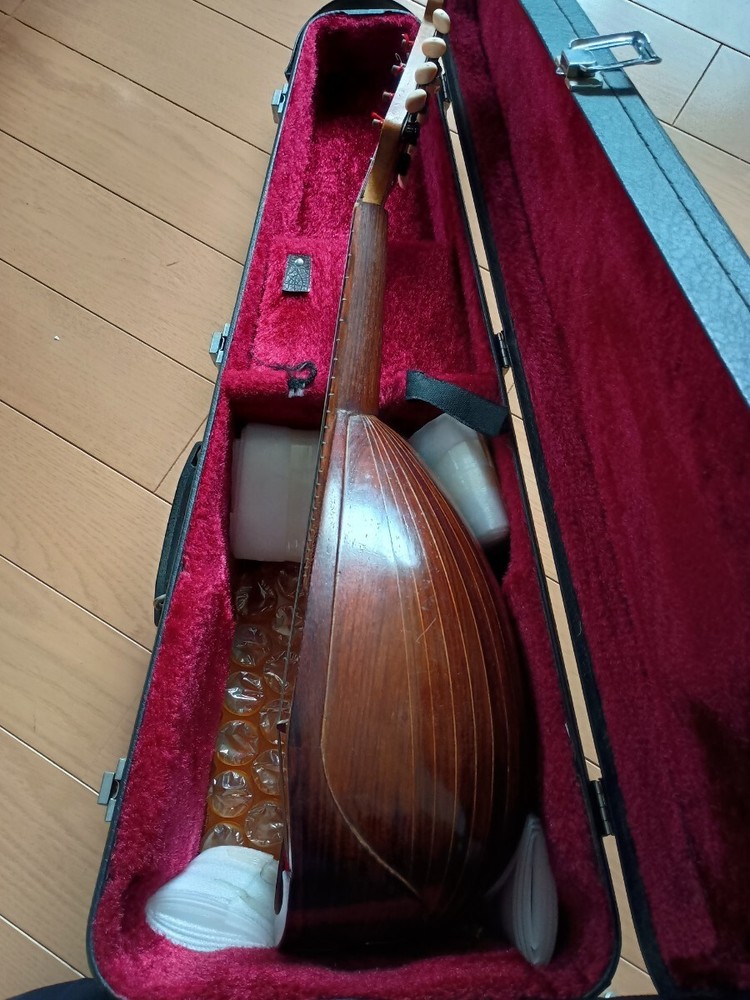 Wooden mandolin 8 strings with hard case