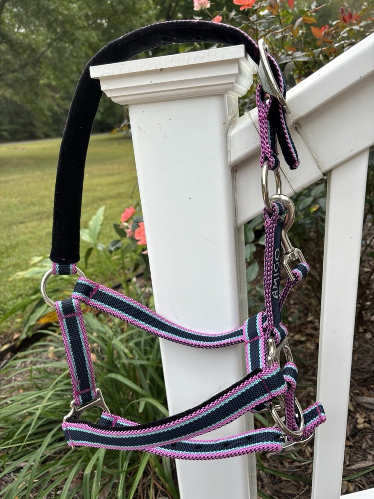 Pony Size Amigo Halter