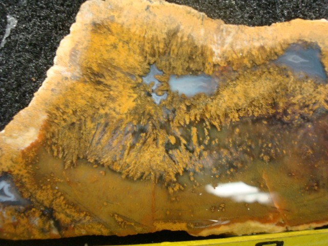 mexican sagenite slabs